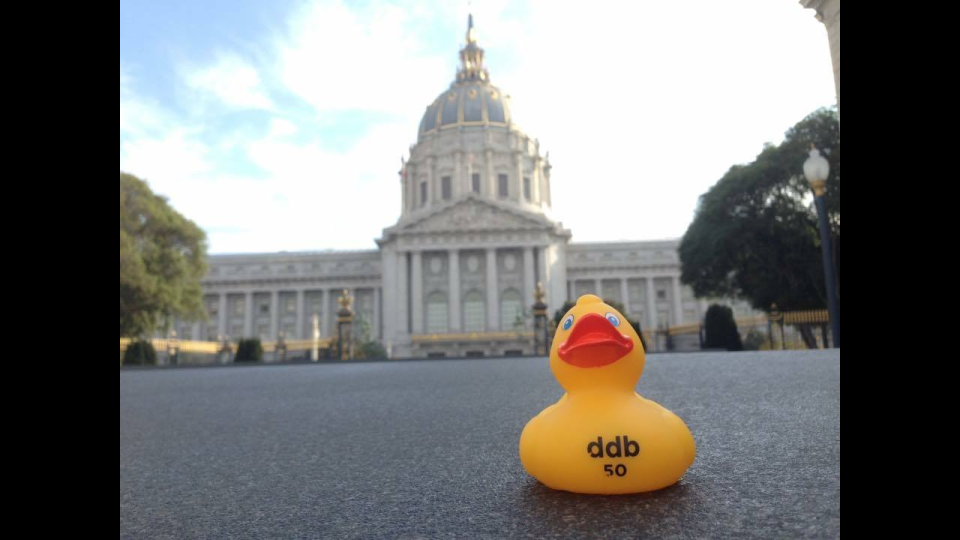 duck duck